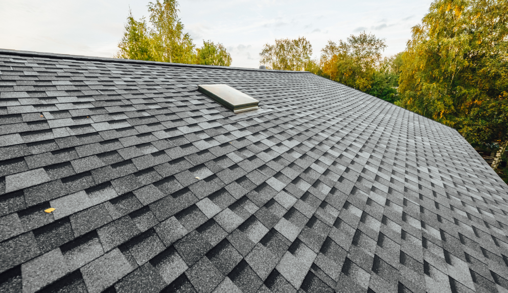 Techos (Roofing)